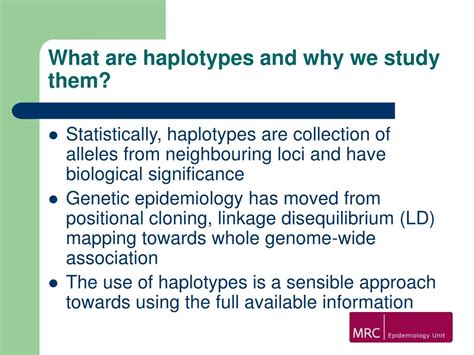 PPT - HAPLOTYPE ANALYSIS PowerPoint Presentation, free download - ID:4044030