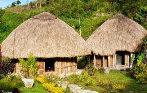 Rumah Adat Provinsi Papua Barat - Pewarta Nusantara