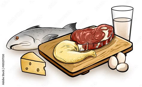 Ilustracion de varios alimentos de origen animal contiene pescado carne pollo queso leche y ...