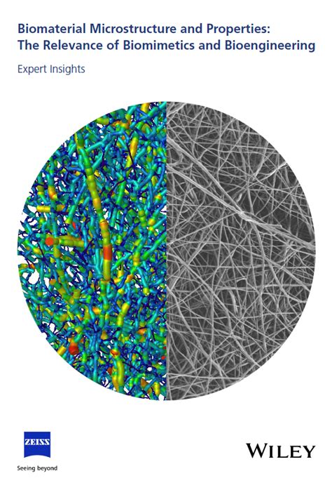 Biomaterial microstructure and properties: The relevance of biomimetics ...