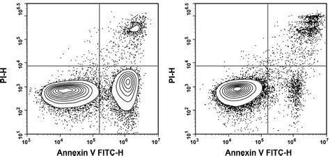 Annexin V-FITC / PI Apoptosis Detection Kit[211] | Elabscience 官方网站