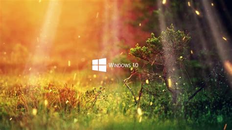 Windows 10 Nature Live Wallpaper 12 - YouTube