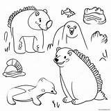 Arctic Animals Coloring Page 1270 1011 sketch template