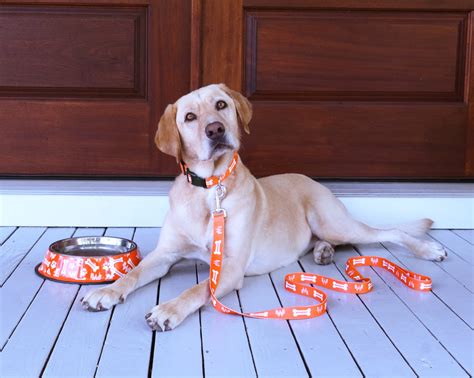 Whataburger is celebrating National Dog Day with new merchandise