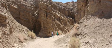 Hikes | Anza-Borrego Travel Guide