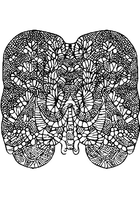Coral Reef Brain Pattern Coloring Page · Creative Fabrica