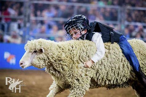 Mutton Bustin Houston Rodeo 2025 - Flss Cindelyn