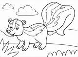 Skunk Coloring Page sketch template