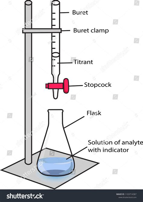 Acidbase Titration Bromophenol Blue Indicator: เวกเตอร์สต็อก (ปลอดค่า ...