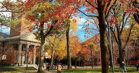 Harvard remains the best Ivy League school in new university rankings