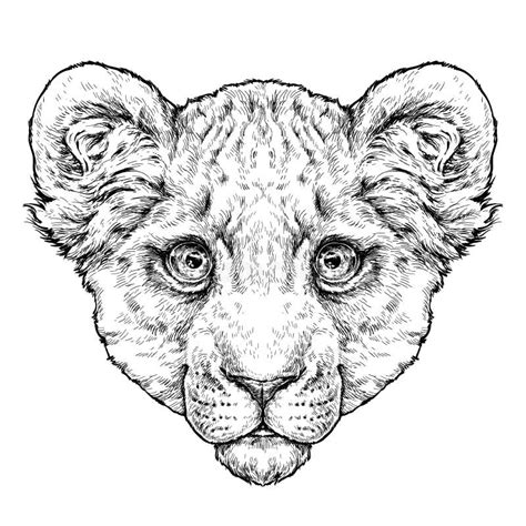 Cute Lion Cub Black White Stock Illustrations – 274 Cute Lion Cub Black ...