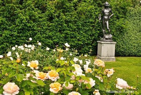 Anglesey Abbey and Gardens, Cambridge - Great British Gardens