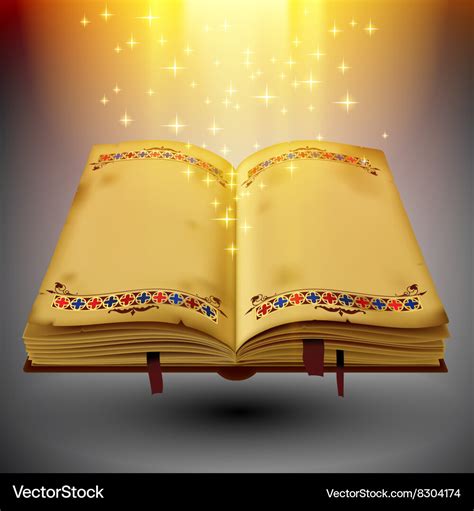 Open magic book with the light and sparkles Vector Image