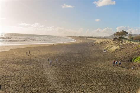 Muriwai Beach, New Zealand - Things to do & Beach Guide