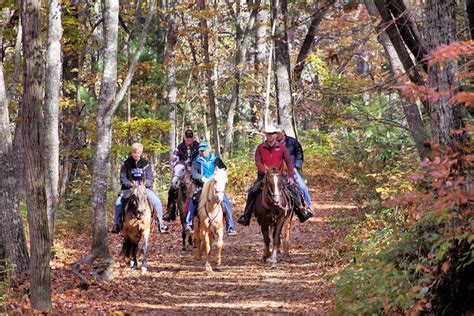 Asheville Horseback Riding & Trails