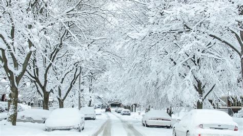 Winter's wallop: Michigan snowfall totals | WZZM13.com