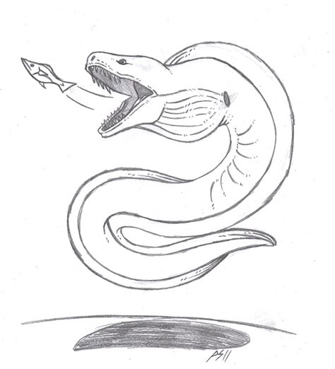 Electric Eel Drawing at GetDrawings | Free download