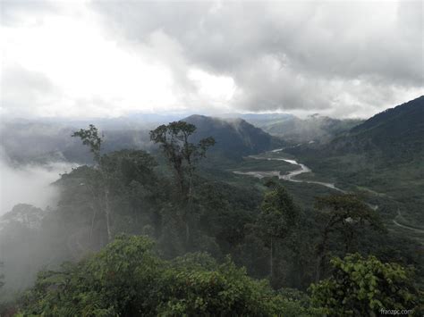 Cloud Forest in Ecuador: 3-day itinerary