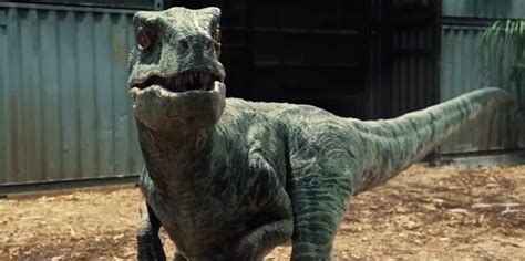 Image - Jurassic-World-Velociraptors-6.png | Jurassic Park wiki | FANDOM powered by Wikia