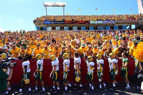 Pin by Maureen Knoll on NDSU Bison Football | Ndsu bison football, Bison football, College football