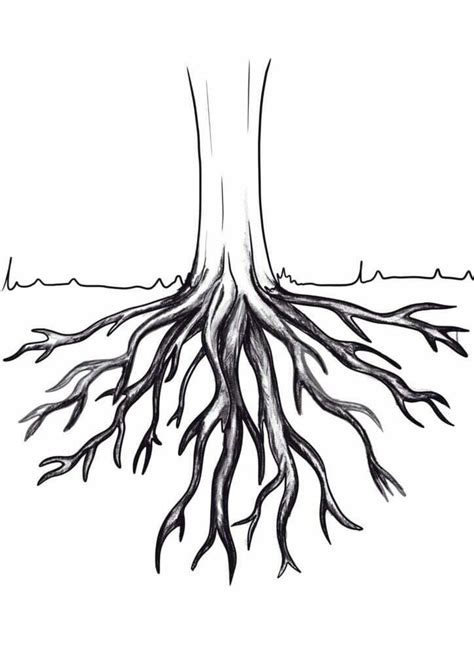 Draw Tree Roots in 10 Easy Steps! – Artsydee – Drawing, Painting, Craft ...