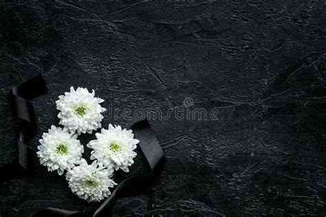 Funeral Symbols. White Flower Near Black Ribbon on Black Background Top ...