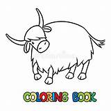 Yak Colouring Page sketch template
