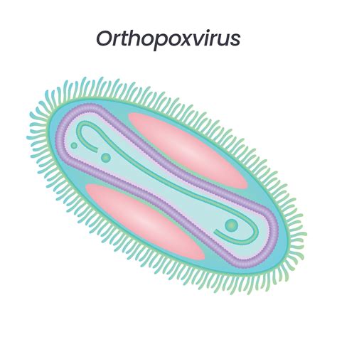 Orthopoxvirus isolated vector illustration 10803617 Vector Art at Vecteezy