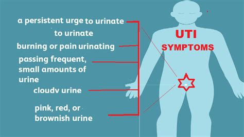 Urinary Tract Infection (UTI) , causes , symptoms and treatment
