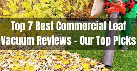 Top 7 Best Commercial Leaf Vacuum Reviews in 2022 - Our Top Picks