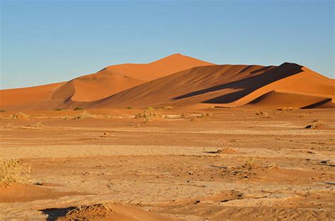 Namib Sand Sea Stock Photos, Pictures & Royalty-Free Images - iStock