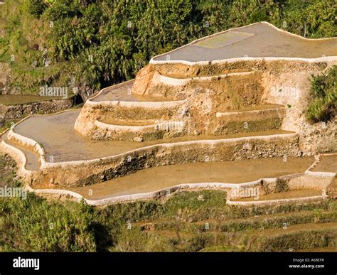 rice architecture an example of the rice terracing found in the ...