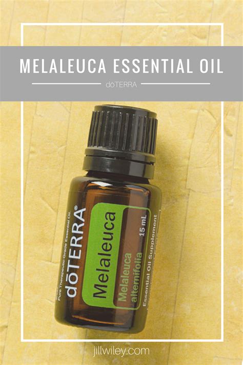 Melaleuca Essential Oil • jillwiley.com