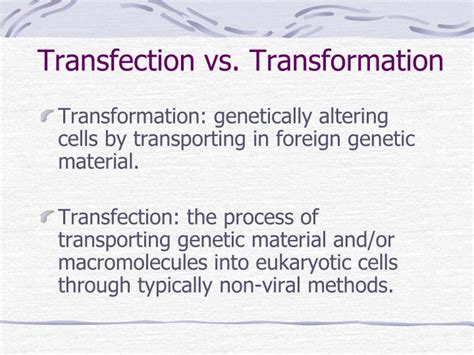 PPT - Cell Culture PowerPoint Presentation - ID:2198729