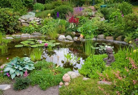 16 Best Aquatic Pond Plants For Your Functional Water Garden