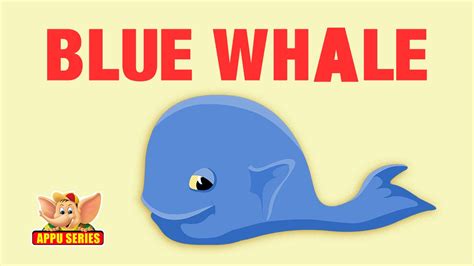 Blue Whale Facts For Kids