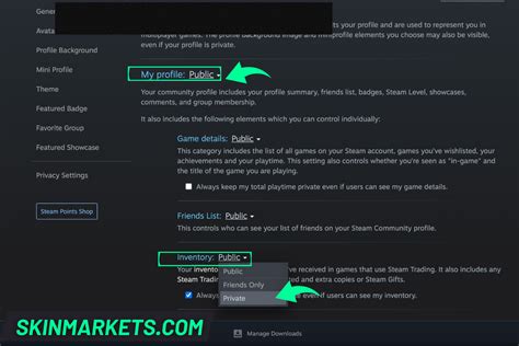 How To Make Your Steam Inventory Public or Private in 2023