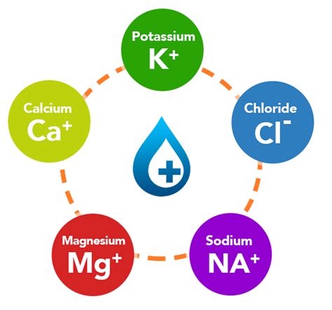 Electrolytes - Sources and Foods High In Electrolytes