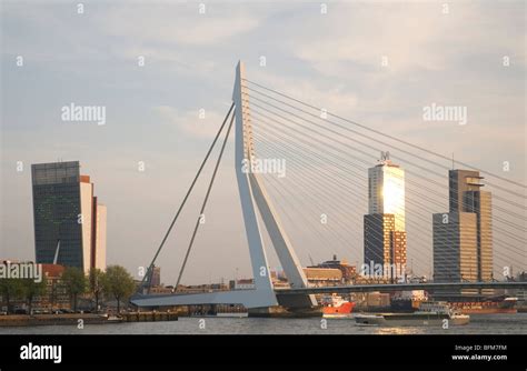 The Erasmusbrug bridge, designed by Ben van Berkel, at sunset - Erasmus Bridge, in Rotterdam ...