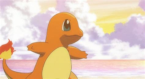 Charmander capture gif - danjord