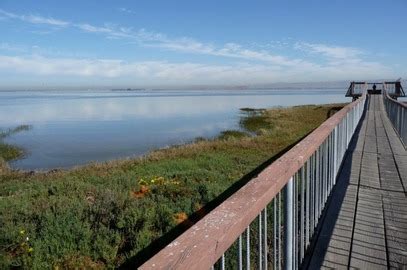 Palo Alto Baylands Preserve Trail Runs - Trailstompers Guide to SF Bay Area Trail Running