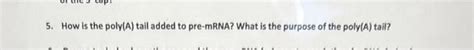 Solved 5. How is the poly(A) tail added to pre-mRNA? What is | Chegg.com