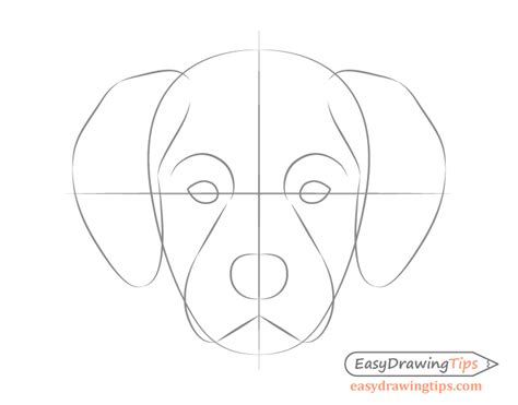 How To Draw A Dog Head Easy - Draw easy