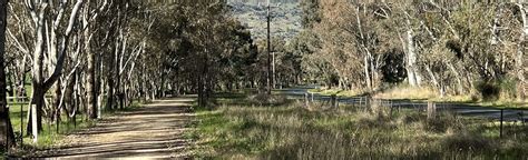 Yea to Tallarook via Great Victorian Rail Trail: 11 Reviews, Map - Victoria, Australia | AllTrails