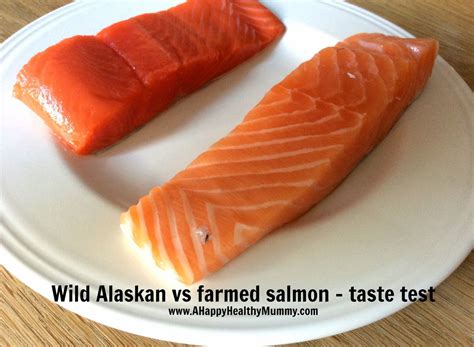 Is Farmed Salmon Banned in Australia? Examining the Controversy – The ...