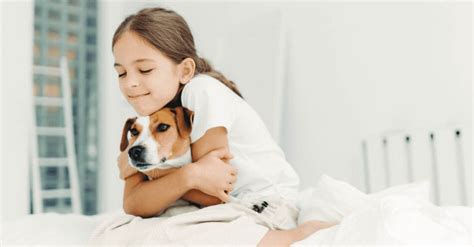 Why Kids Should Have Pets | Pet Living