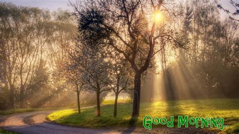 Morning Nature Wallpapers - Top Free Morning Nature Backgrounds ...