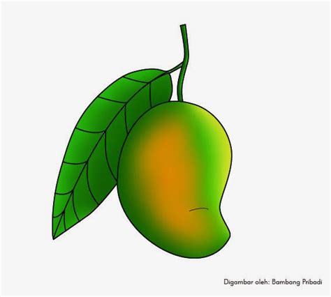 Belajar Mewarnai Gambar Buah Mangga ~ belajar menggambar dan mewarnai