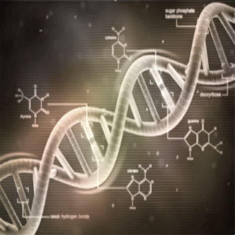 Forensic Science | Institute of Agriculture and Natural Resources