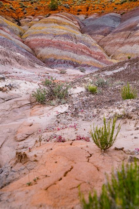 They Really Exist: The Rainbow Mountains of Arizona - Global Girl Travels